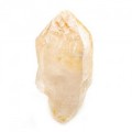 Lemurian