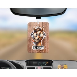 SARCASM-Air Fresheners - Seriously