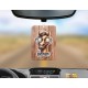 SARCASM-Air Fresheners - Seriously