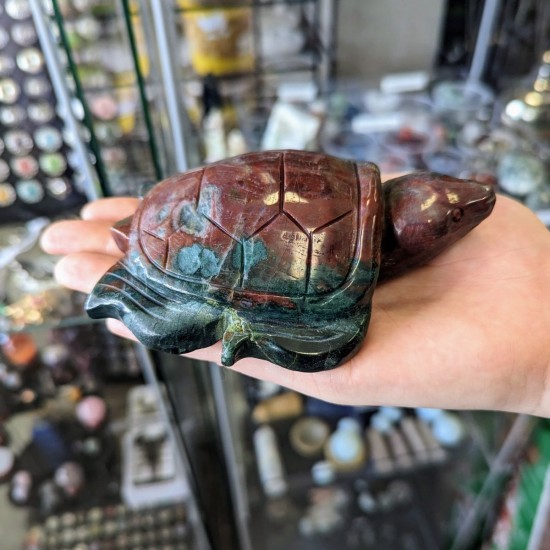 Ocean Jasper Tortoise