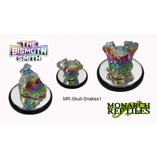 The Bismuth Smith -  Skull w/2 Snakes 1